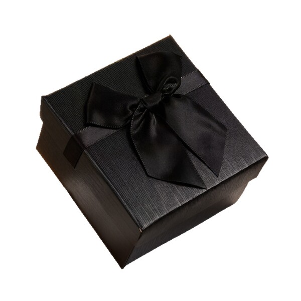 retro fashionable elegant trend watch box with bow