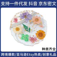 �羳���N����ֲ��ɻ�͸����֬���|�ֹ�DIY�滨�豭���ȱ��|�Y��