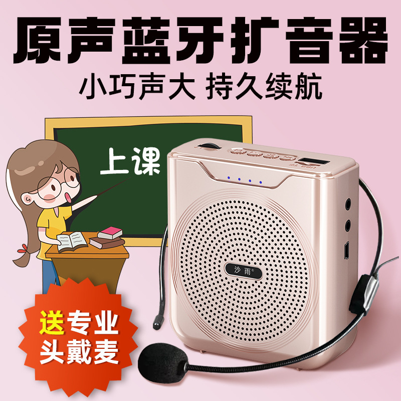 Little Bee アンプ 教師専用 小型 大音量 販売 Bluetooth プロモーション ガイド ポータブル アンプ|undefined
