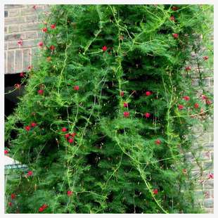 ���~�\�}���N��ͥԺ����ֲ������ǻ������̨�ļ��׷N���_������