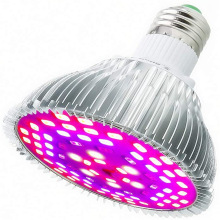 ����ѷLEDֲ�������� P30 e27D�������������Ի������Һ���ֲ���