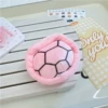 Pink turtle shell 10 cm