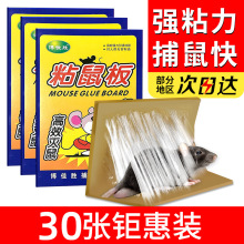 厂家生产供应粘鼠板老鼠贴粘老鼠胶杀鼠捕鼠器 一件代发批发四害