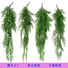 �S��ֱ�N�����ٗl�����~�ڒ첨˹�~���@�b��̈�ֲ��b�����