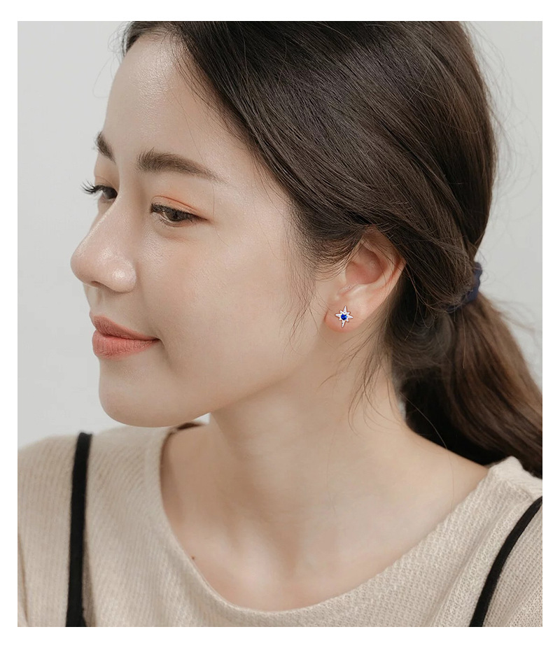 Style Simple Star Argent Sterling Placage Zircon Des Boucles D'oreilles 1 Paire display picture 6