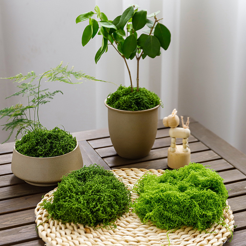 Simulación de musgo artificial de fibra de tela de peluche Micropisaje Disposición ornamental Césped bonsai maceta decoración paisajística
