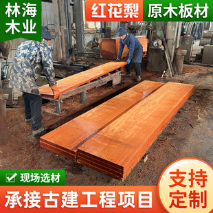 ���޼t����ľ��ľ�ķ�ľ��ľ�Ҿ߰�Ĺ�������ľˇƷ��̼t����