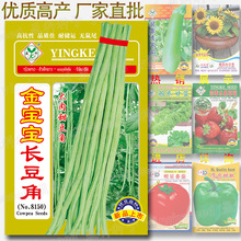 �������L���ǷN�� �s60�� �L�����N�����l �����𶹽� �L���ǷN��