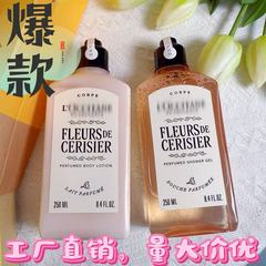欧新版舒丹法国甜蜜樱花身体乳沐浴露套装洗护套装节日礼物伴手礼