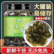 地皮菜干货野生新鲜甘肃土特产特级免洗地软地木耳地衣雷公菌干菜