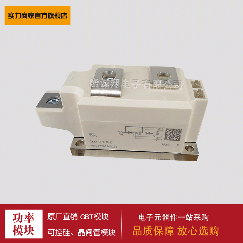 SKKT250/08E  SKKT250/ 12E /14E/ 16E /18E  可控硅模块  现货