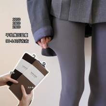 三个厚度 春秋经典纯色丝袜裤120D高腰基础连裤袜女显瘦压力裤