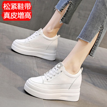 ����������2025�＾�¿������Ů�ɸ߸����e�\�ӌW��Ů��Ь���l