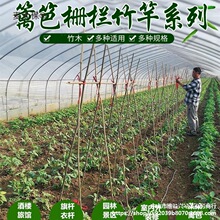 竹子细竹竿棚架碳化室内菜菜豆角菜地防护栅栏景观竹栅栏菜麦太保