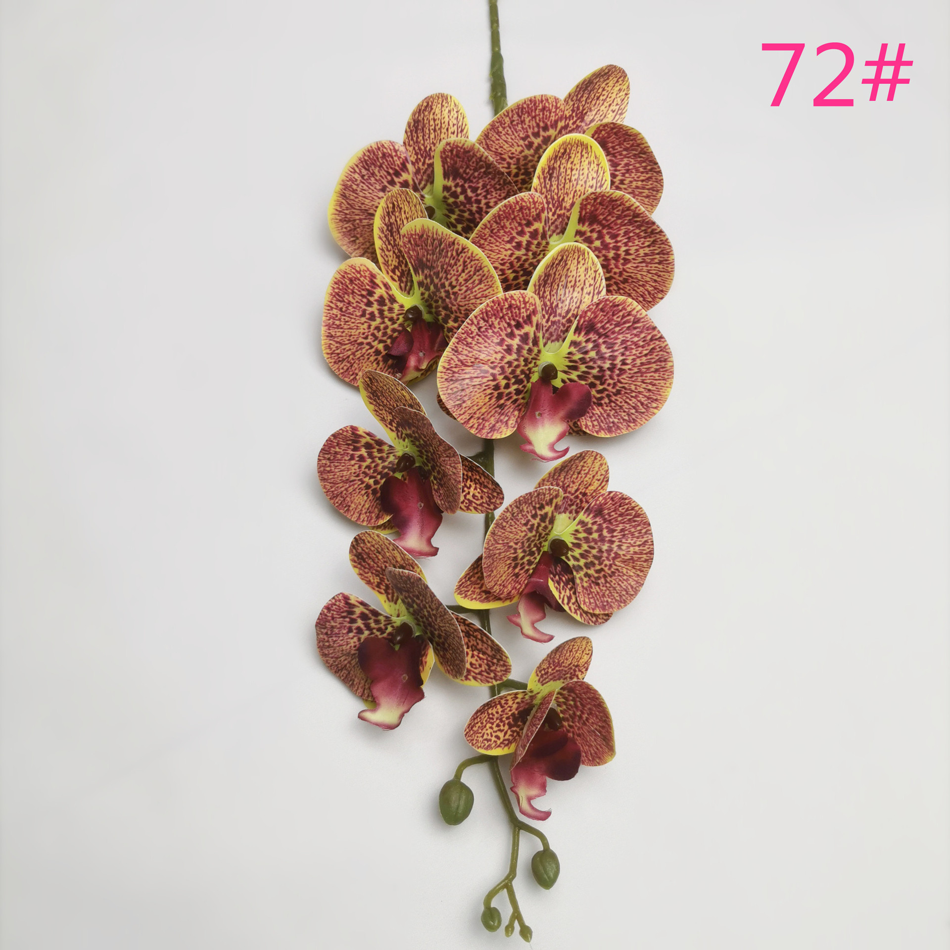 IMG_20220531_183127_副本