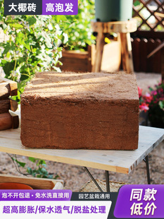 Ҭ��Ҭ�u�I�B���N��ͨ����Ó�}��KҮ�u�����������B�������Nֲ