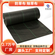 厂家PP防草布黑色除草大棚透气透水盖草布园艺地布除草农用抑草布