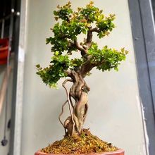 �Ϙ�����Y��С�~ȸ÷�辰�ͺ���ɣ��Ʒ���ͺ��B�҃�ͥԺ��������