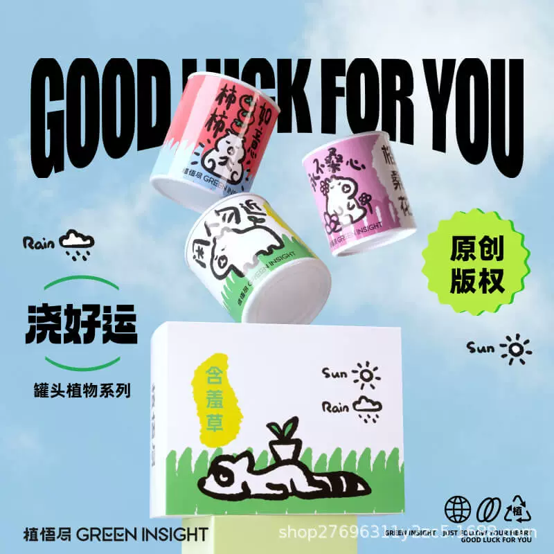 Супер садоводство, офисный креативный набор для посадки, зеленое растение, креативный сувенир, интернет-знаменитость, растение, подарок, растение в горшке, аутентичное