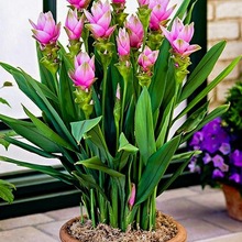 �M�ڽ��ɻ��N���͟��͕����������ͥԺ�̨�҃���ٺ������㻨��