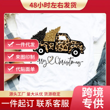 �羳ŷ��ʥ���ڿ���ʥ����ʥ������Ů��ɰ���ĸ���а�ɫ����t��