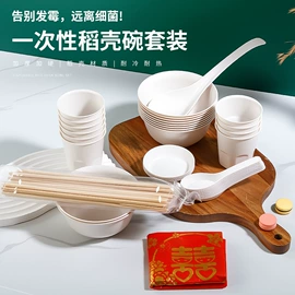 一次性餐盒;一次性餐具;其他餐饮用品
