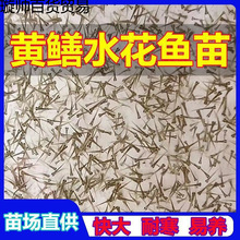 �S�Xˮ���~�絾��Ұ�����S�X�P���X�Lβ�~�X�~���ͺ��׻���