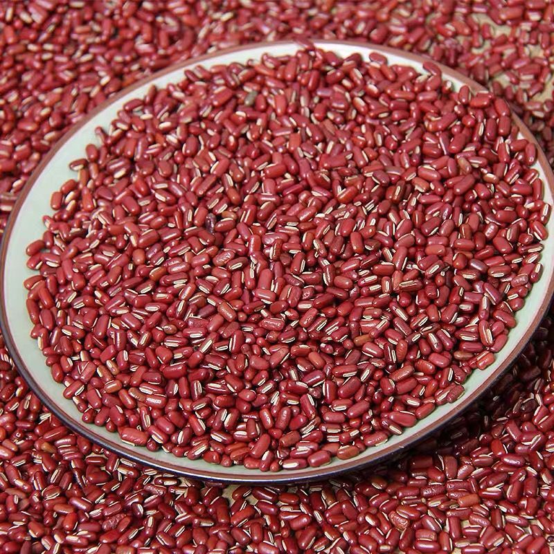Adzuki Bean Chi Xiao Dou 500g Dried Vigna angularis Seeds for Herbal Tea Soup and Congee in use