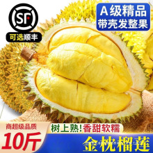 金枕榴莲10斤新鲜水果当季整箱巴掌小榴莲冷冻一整个顺丰包邮