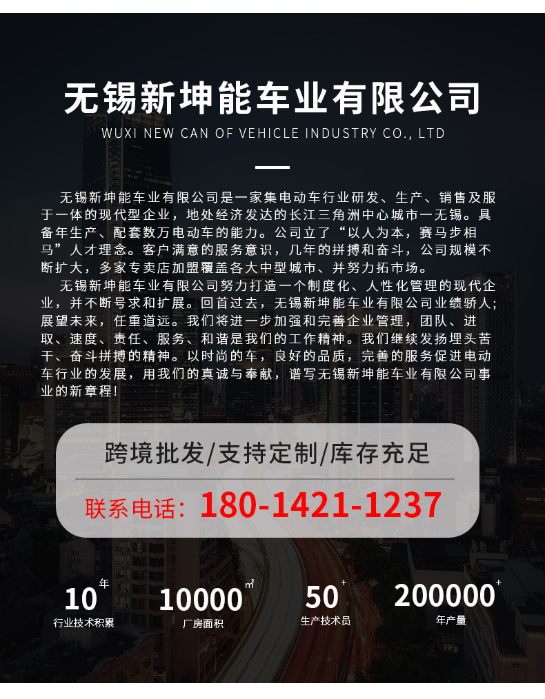 Cross-Border Direct Supply D300 Electric Motorcycles for Men and Women, Adults, Foreign Commuting, Complete Vehicle, Electric Motorcycles, Export