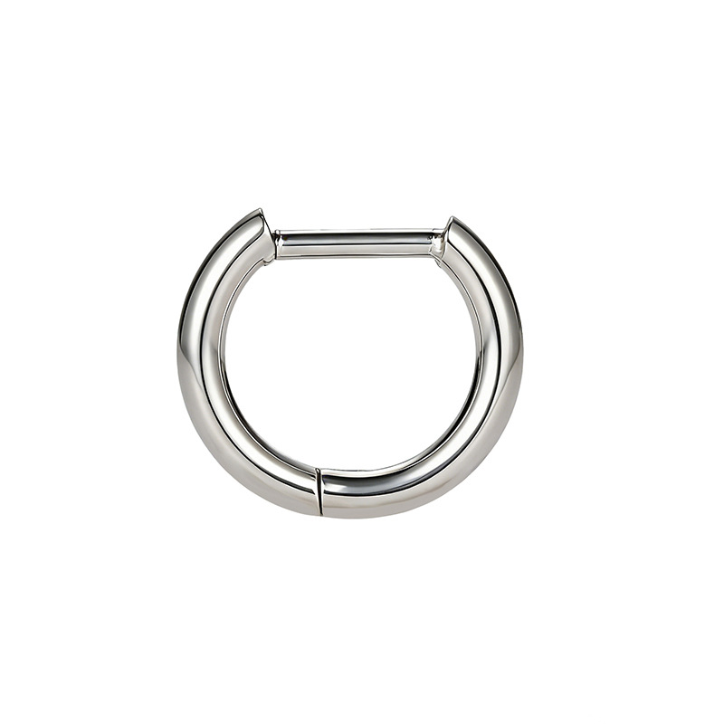 F136 Titanium Alloy Straight Needle Earrings D-Ring Nose Ring Ear Clip Polished D-Shaped Ear Studs Hoops Cartilage Rings detail image 9