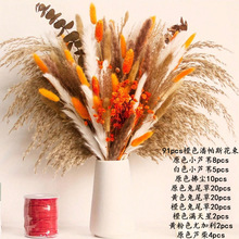 �羳������β��С�JȔ�J��ɻ�������ϏS��DIY������lһ�����l