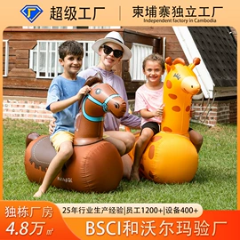 淘气堡;组合滑梯;游泳圈