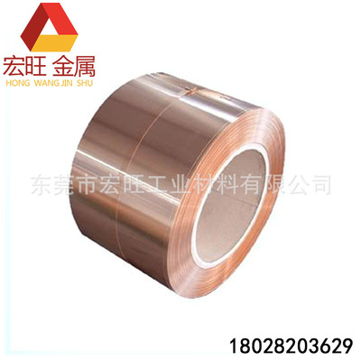 Dongguan Manufactor wholesale Grounding Copper row Complete specifications 30*3 40*4mm Free Cutting