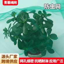 80目农用防虫网大棚蔬菜花卉养殖围网阳台蔬菜种植纱网防蚊虫网