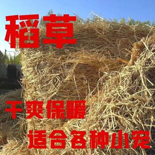 J8 соломенная постельная принадлежность, теплое гнездо, натуральная солома, сушеная солома для кроликов, собак, уток, коров, овец, свиней, зимняя солома, солома для корма g3