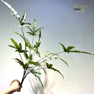 �������쾰С�Gֲ ���~����ˮ�������������~�����~ �z�~�t��