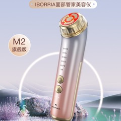 元のメーカーの顔の美容の超音波マッサージの導入器のイオンは顔の柔らかい肌の冷熱の美容器を導き出します。