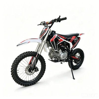 Motorcycle, Motosikletlər