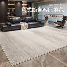 地毯客厅免洗可擦大面积全铺极简高级感卧室床边毯意式简奢地垫