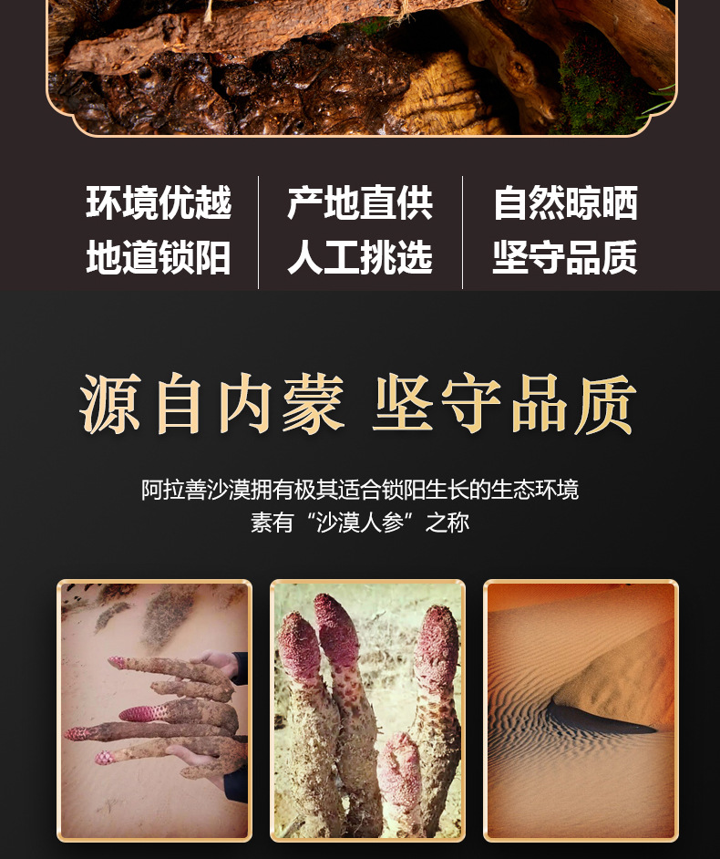 Dried Cynomorium Songaricum Whole Roots Suo Yang 500g Warming Herbal Tonic for Tea and Soup key features