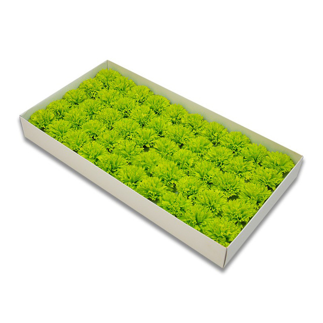 6cm-50.jpg_640x640 (30).jpg