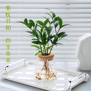 ˮ��ֲ�����������^��ؔ���҃��k������С������ꎺ��B��F��