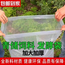 ��ϰl�ʹ����A�S���Bֳ�ն���ݾ��㶹�����ܷ⌣�ðl�ʹ��Ӻ��