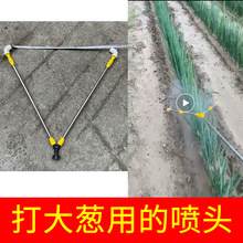 �r�ô��[�F�����^�Ή�늄Ӈ��F���A��ʡș��șʩ�ʸ߉����F