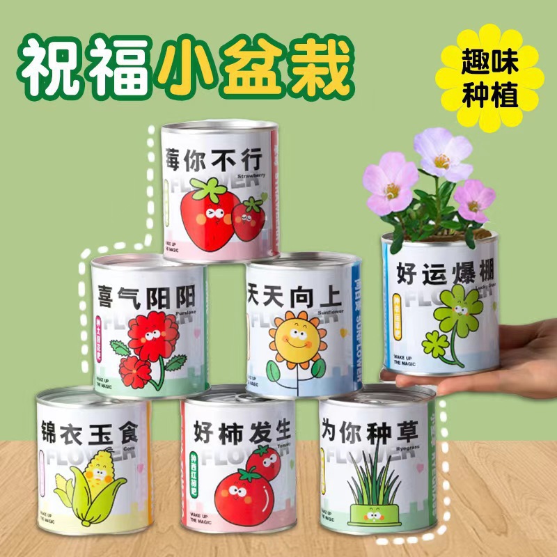Trendy Canned Plant Miniatures for Office Greenery, Children's Desktop Mini Cans, Student Gifts