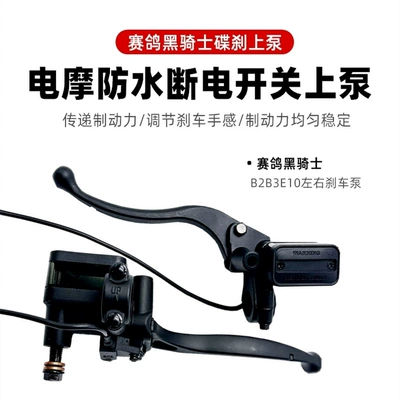 Other Electric Vehicle Accessories: Pump B2B3E10 Brake Pump