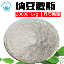 納豆激酶 20000FU廠家現貨100g/袋 納豆激酶粉 納豆提取物原料
