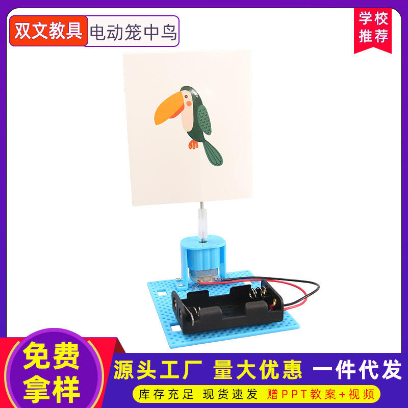Jaula eléctrica experimento de Ciencia de Aves juguetes de estudiantes de enseñanza primaria y secundaria tecnología de bricolaje hecho a mano pequeño paquete de material de producción al por mayor