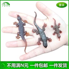 ����С����ڻ������~���_�����b��ͯ�J֪������z�s΢�̈́���ģ��